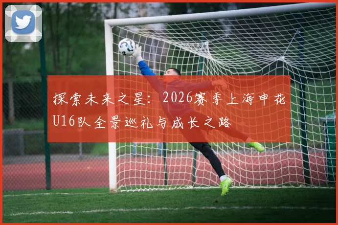 探索未来之星：2026赛季上海申花U16队全景巡礼与成长之路
